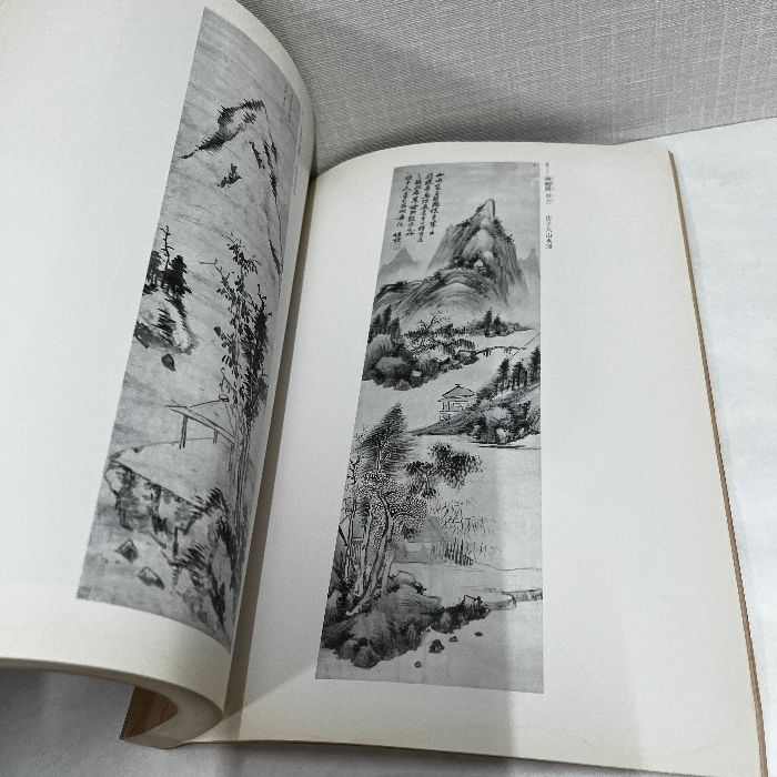 創立40周年記念 日本書芸院展図録 中国明清の絵画 1986年 図録