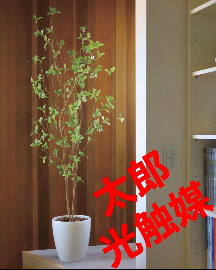 光触媒 人工観葉植物 ウォールグリーン フェイクグリーン パキラ1.6 甘ったる