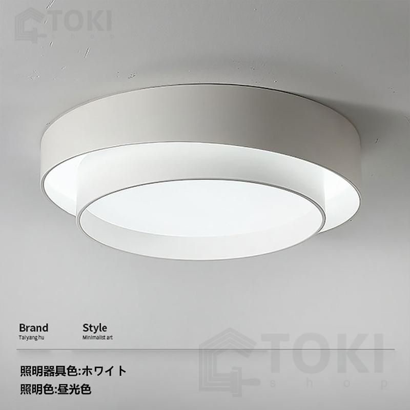 照明器具 天井照明