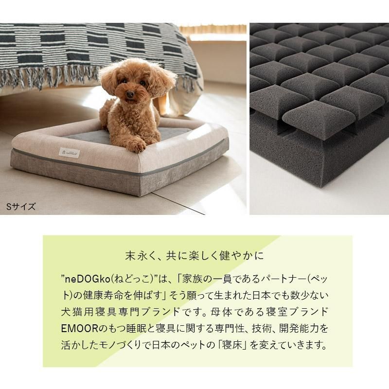 犬
