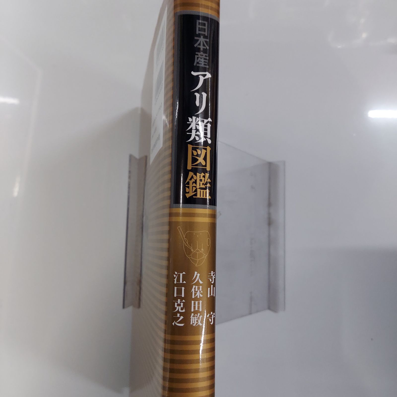 日本産アリ類図鑑 81HnX2mz-aL.jpg_BO30,255,255,