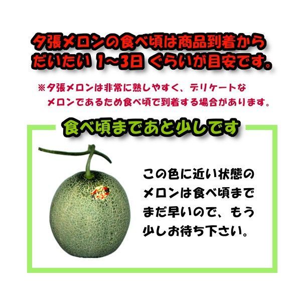 8kg 前後