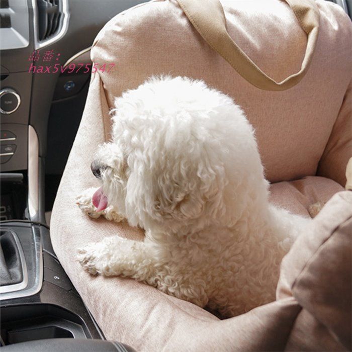 ドライブベッド