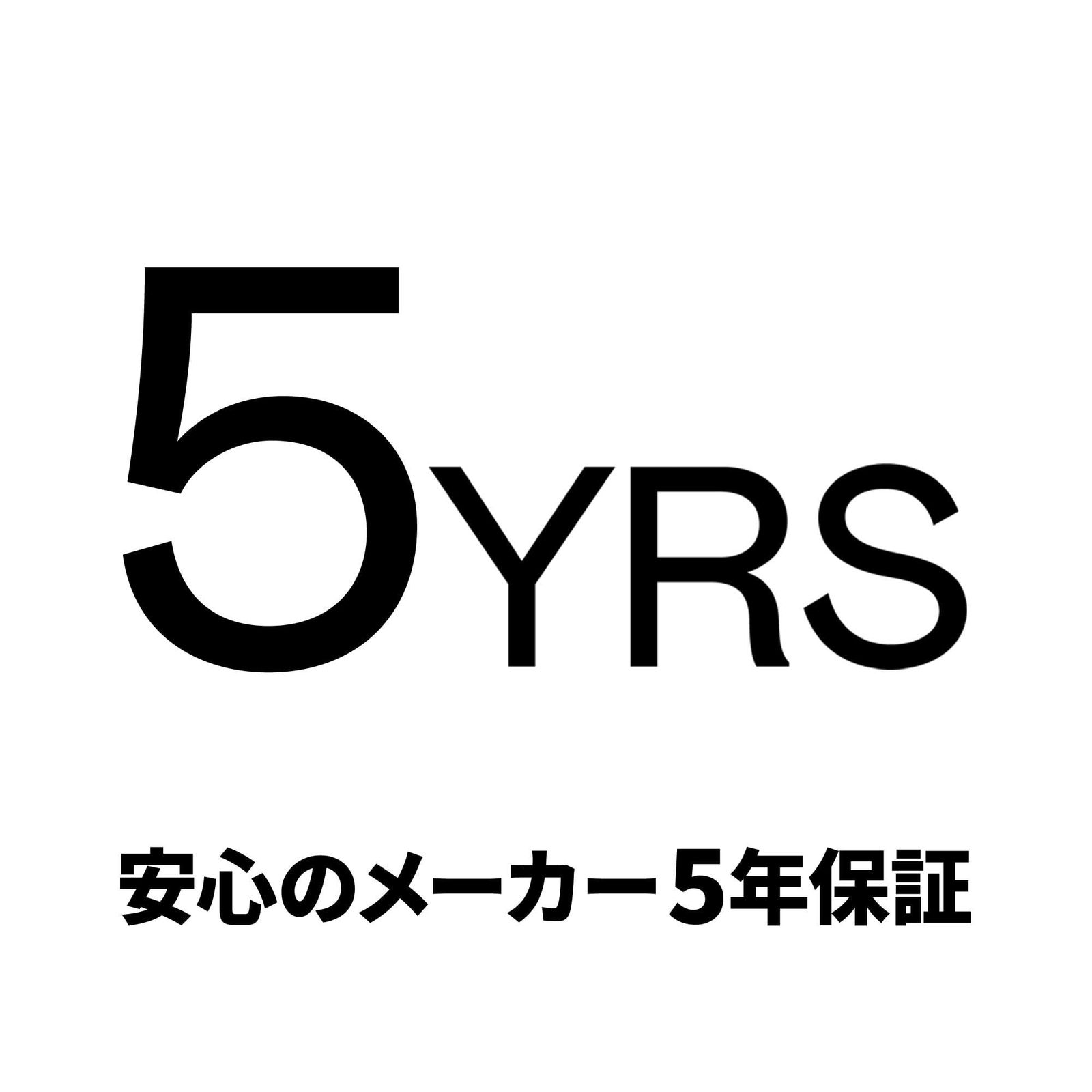 WDS100T3B0E-EC