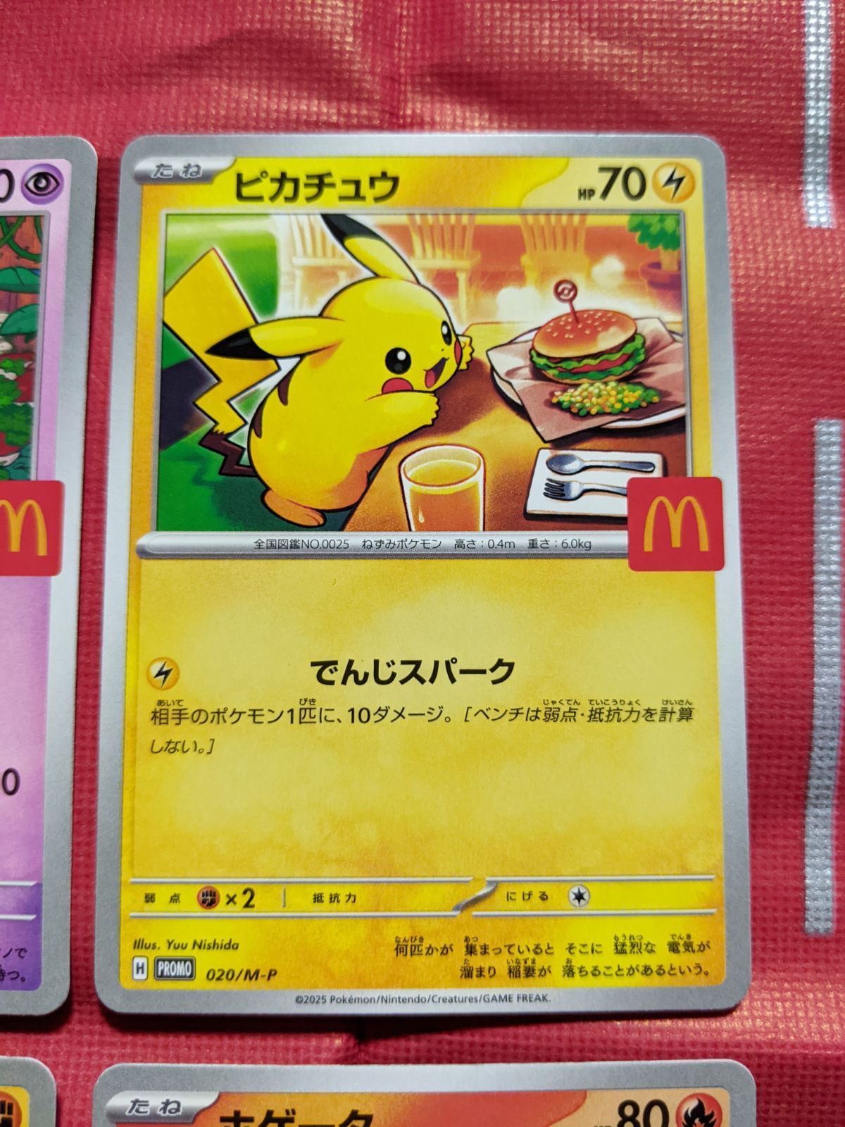 ポケモンカード ピカチュウ 020/M-P ラルトス 021/M-P ホゲータ