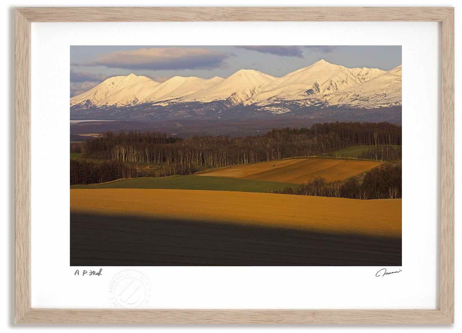 ⭐︎デスク本描き油絵⭐︎模写/F4キャンバス・台付/ゴッホ『烏の