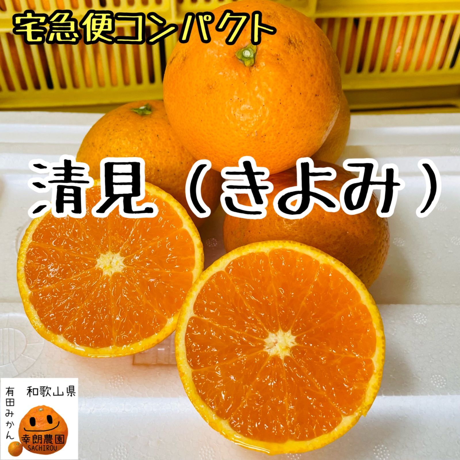 土佐小夏 宅急便コンパクト 約1kg - 食品