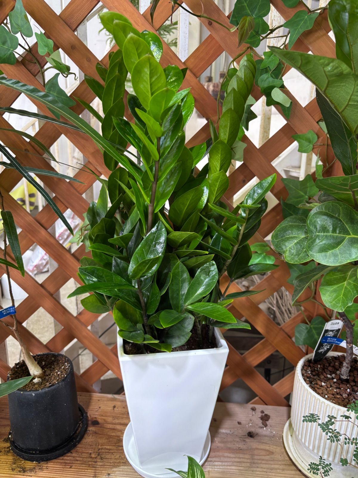 レノボ 超狭枠24インチ i5-9500T SSD化500GB＆メモリー増設