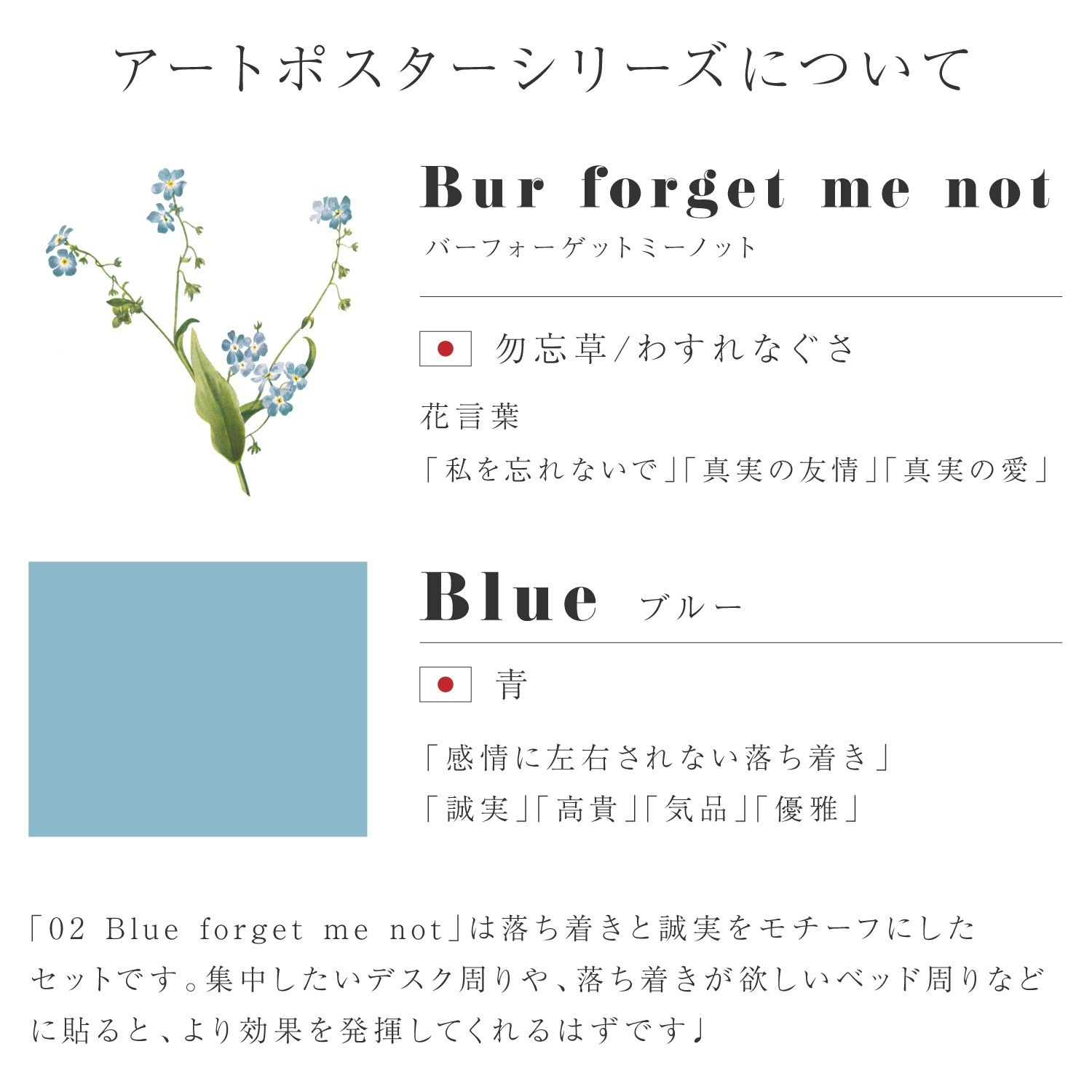 Bur Forget Me Not