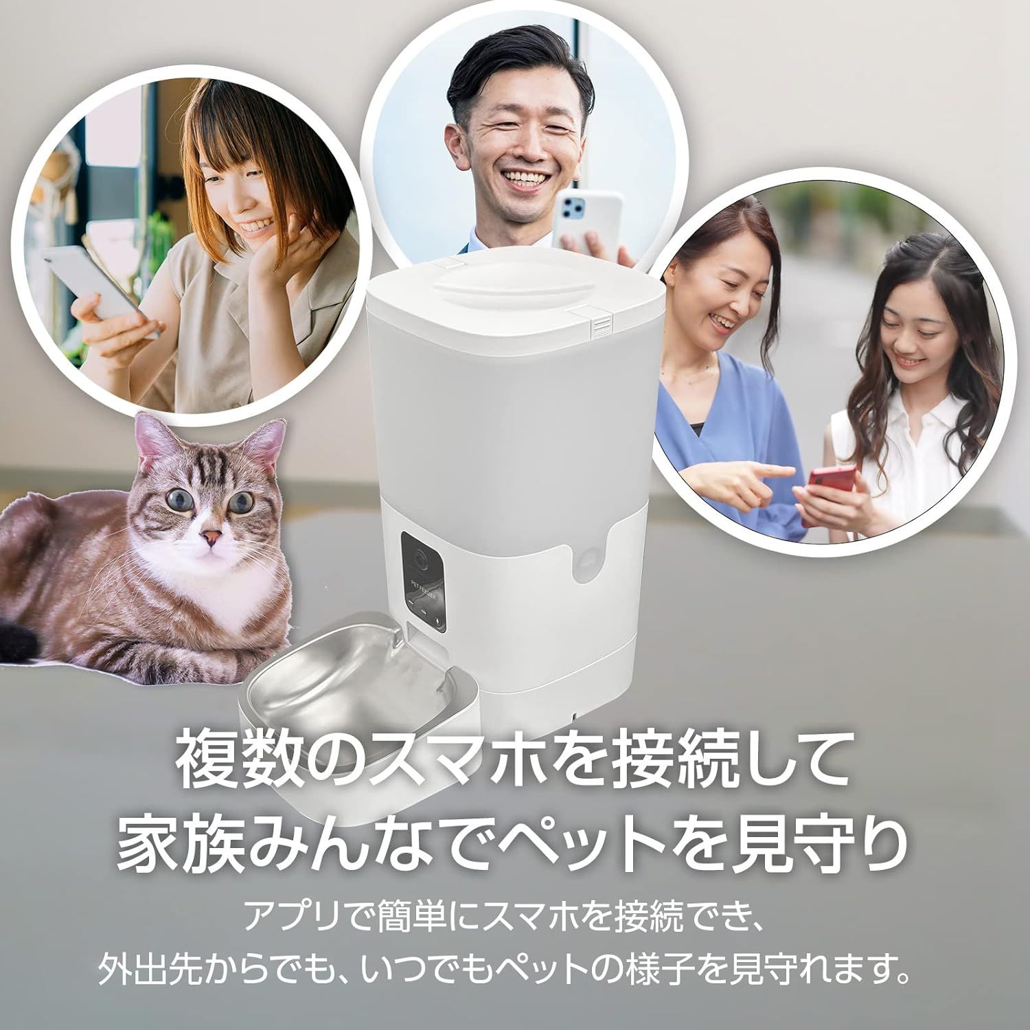 犬
