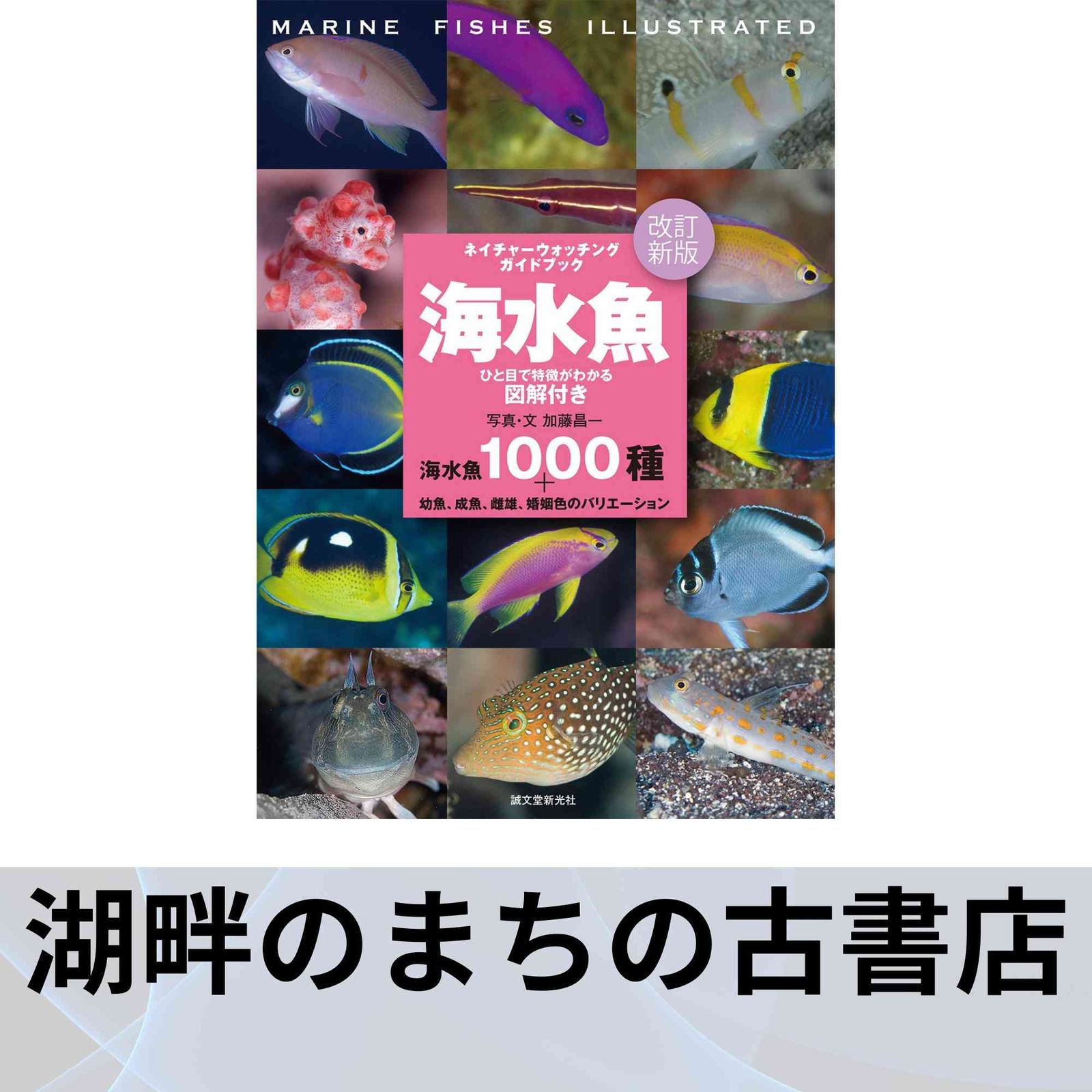改訂新版 海水魚 (ネイチャーウォッチングガイドブック) [単行本