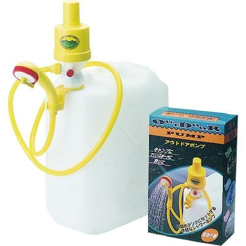 PG38 パキポディウム グラキリス 発根済 現地株 PG38 パキポディウム グラキリス 発根済 現地株