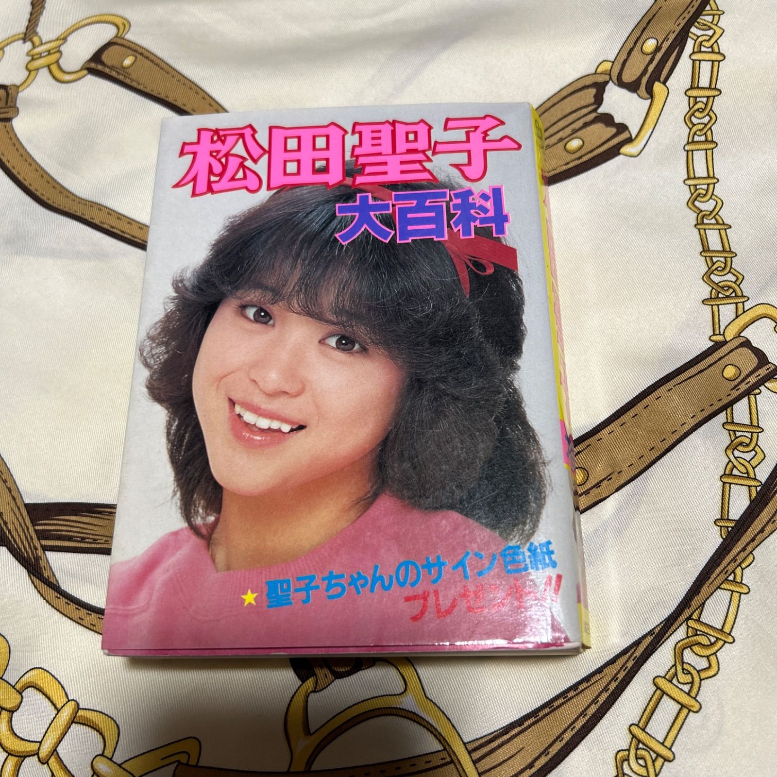 松田聖子大百科 松田聖子 大百科 アイドル 昭和 こどもポケット百科 希少 レア