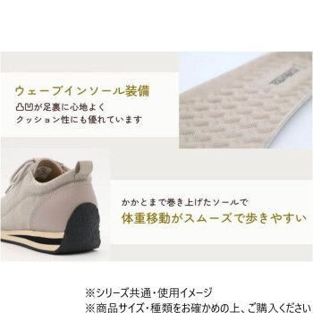 フィル