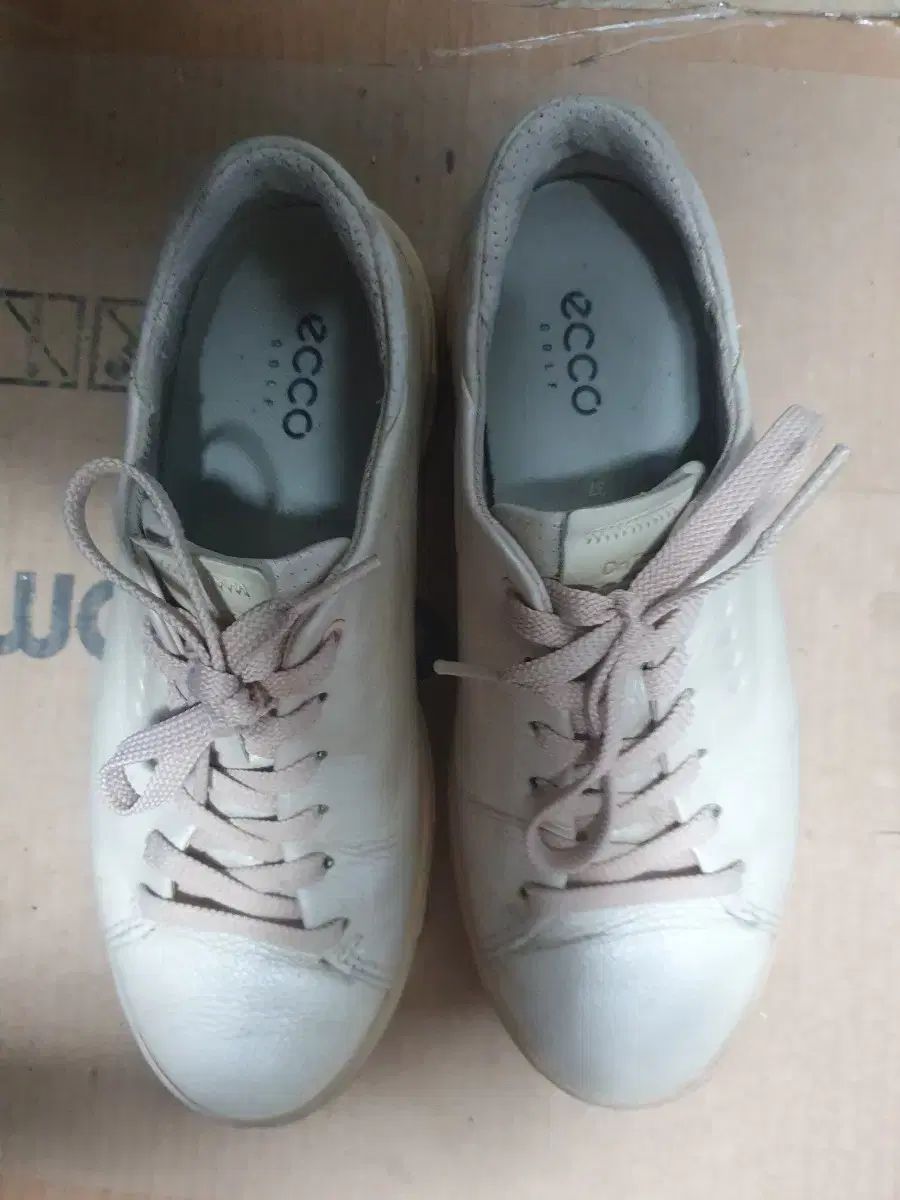 ウィメンズエコー ゴルフシューズ 235 アイボリー
