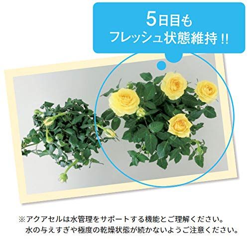 H1×D1×W1cm 水管理ラクラク