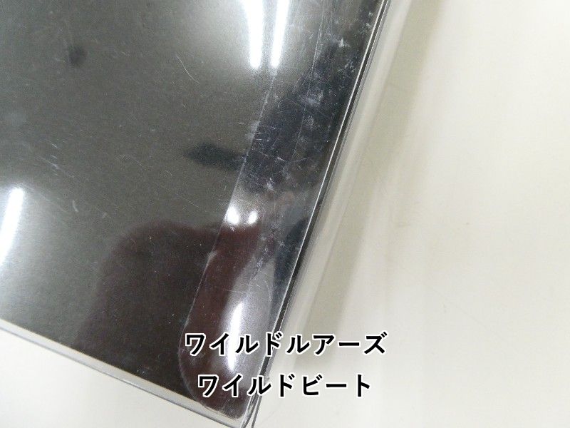 ワイルドルアーズ