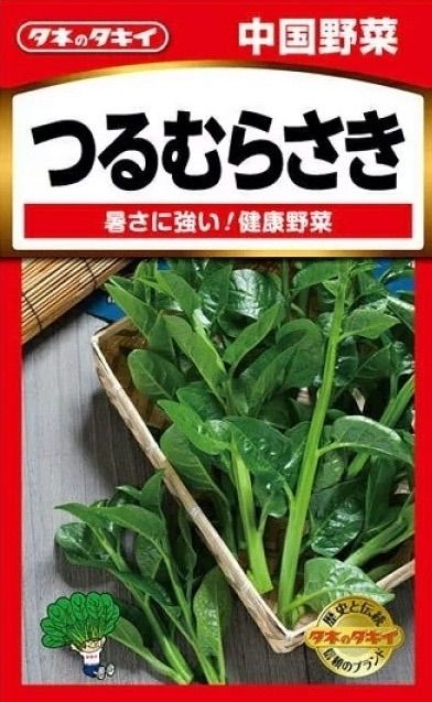 無農薬野菜 ツルムラサキの苗 3本セット プランター 初心者向け 暑さに強い メルカリshops