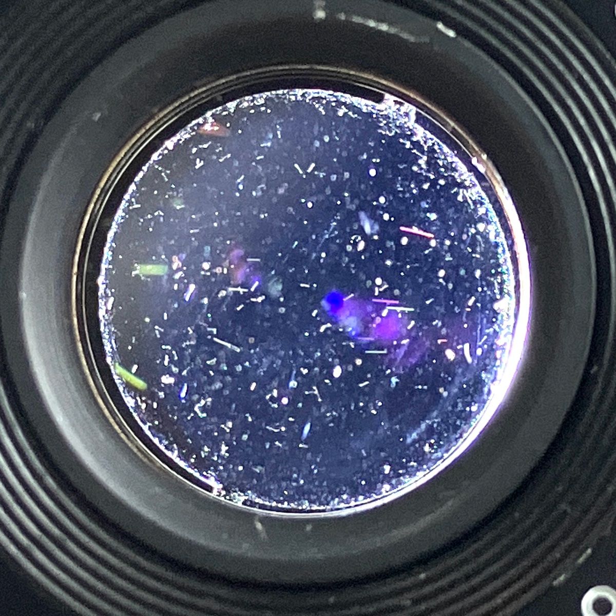 フィルム コンパクトカメラ