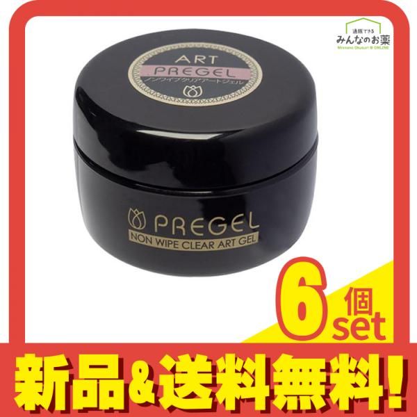 PREGEL(プリジェル) ノンワイプクリアアートジェル 15g 6個セット まとめ売り