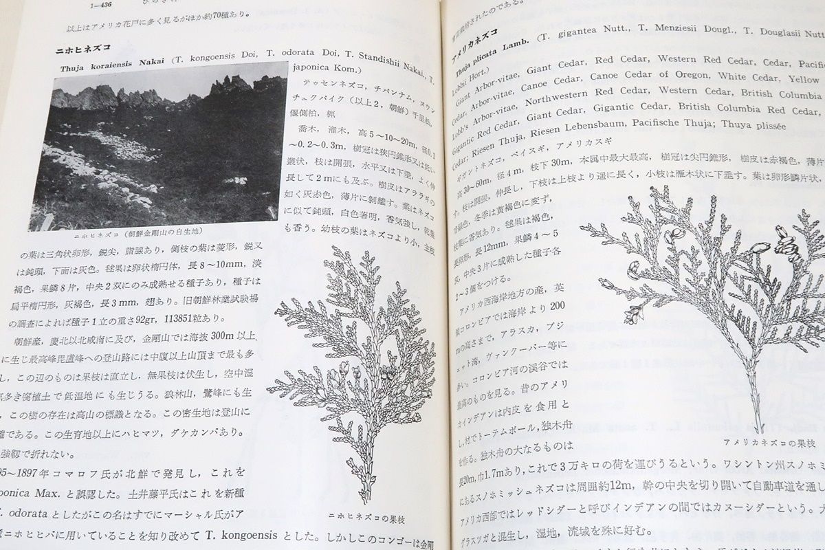 樹木大図説・索引・4冊/上原敬二/164科・約1600属・約1万に近い種・変種・品種を収録し日本産の木本植物の大部分と主要な外国産樹木を含む -  メルカリ