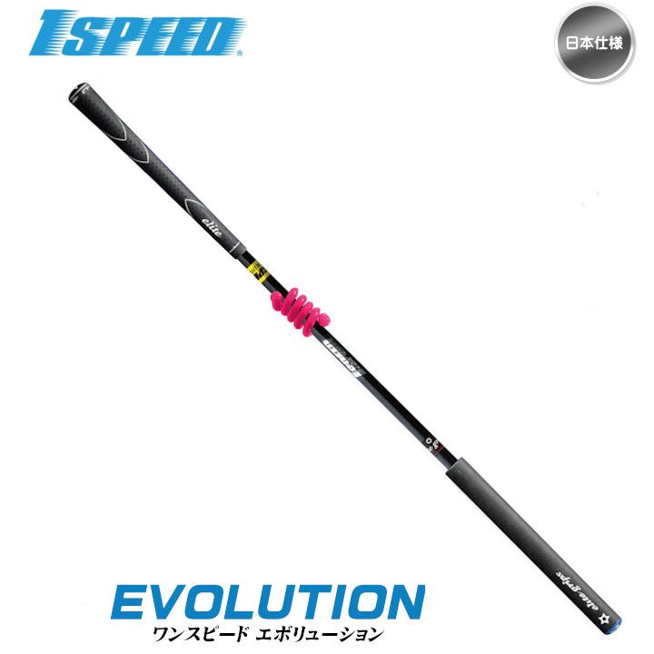 エリートグリップ ワンスピード エボリューション DVD付パイソン20g付　美品 エリートグリップ ワンスピード エボリューション (ゴルフ練習