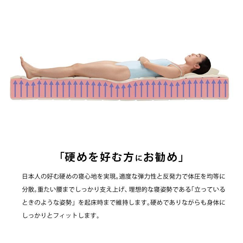 モデル246 クイーン