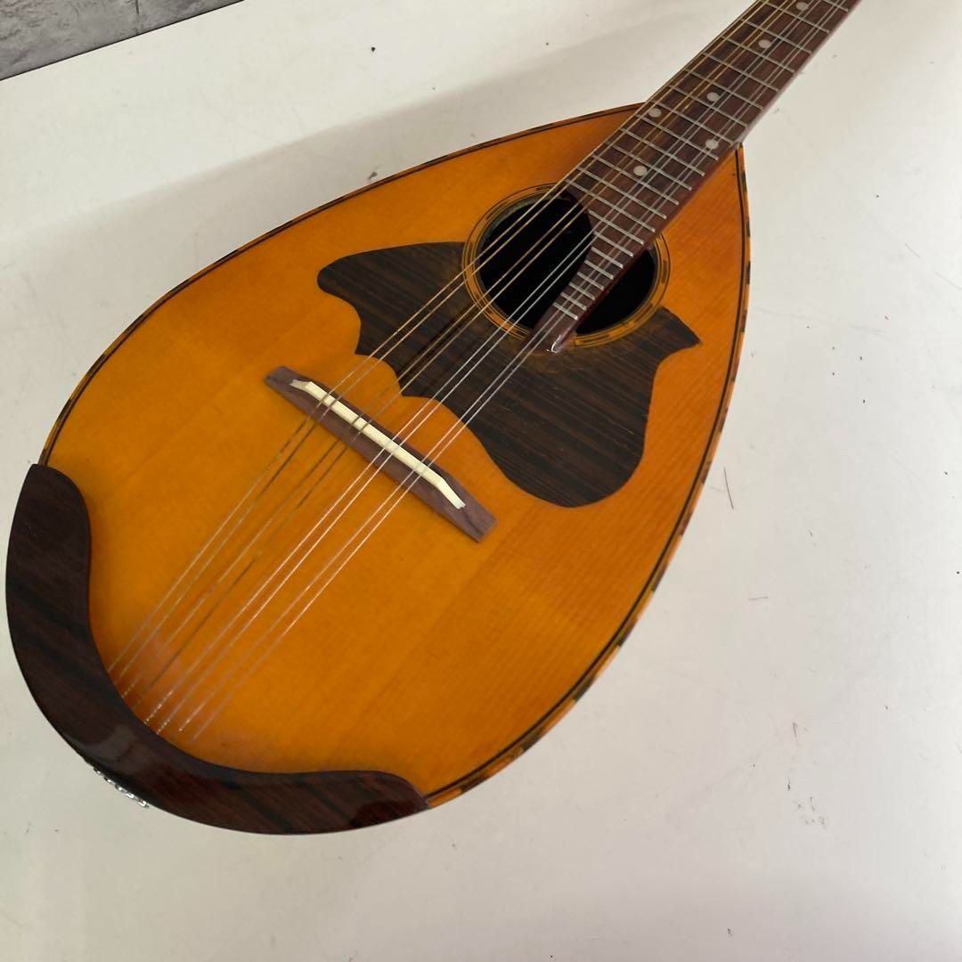 楽器 ケース付き