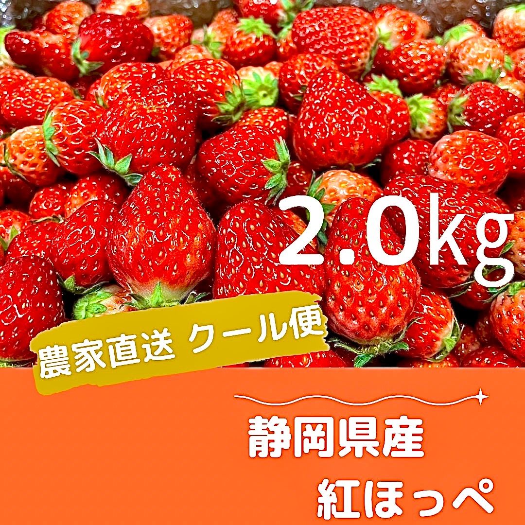 小粒いちご 紅ほっぺ 2kg - 果物