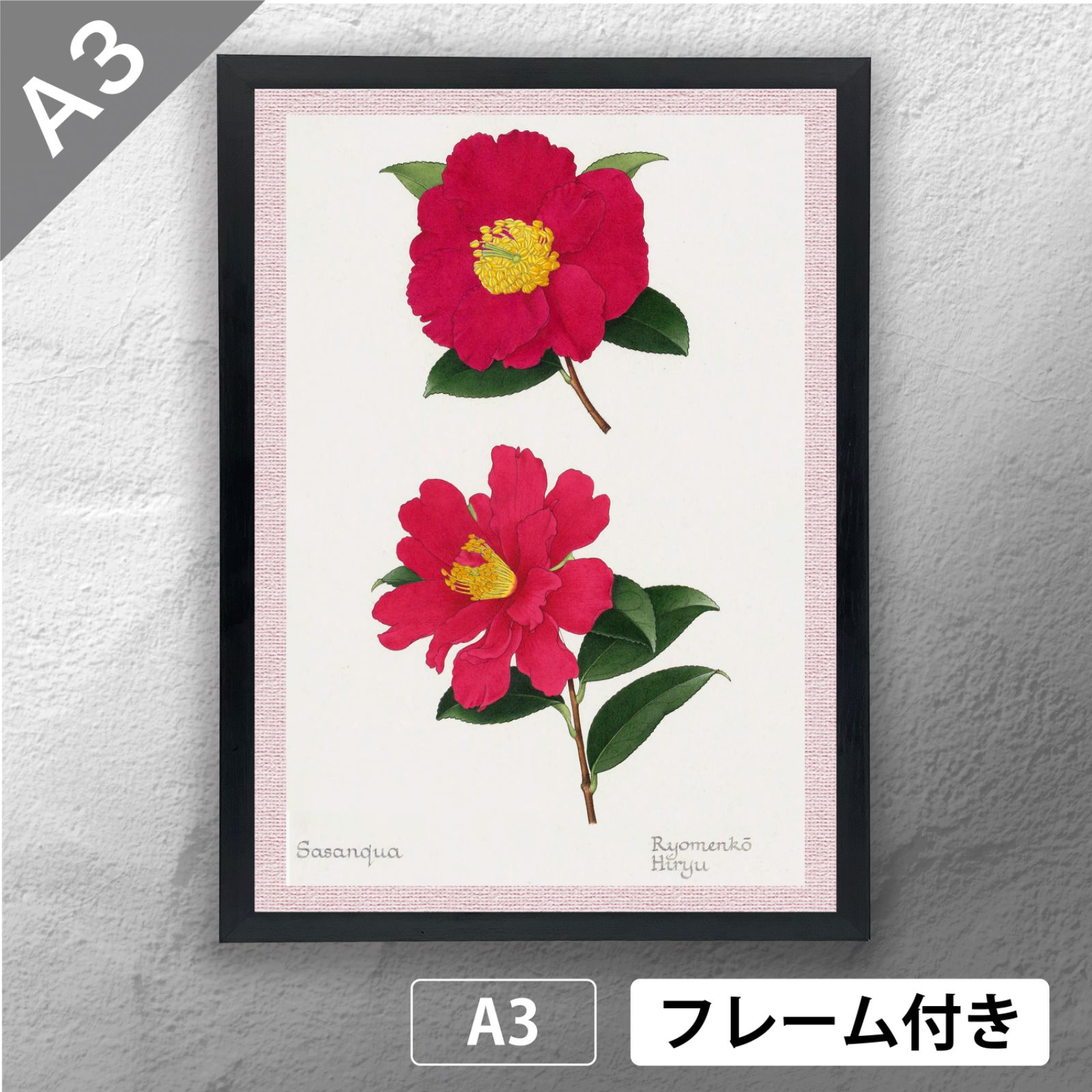 ツバキの額装品（ボタニカルアート） ビブリオポリ-ボタニカルアート-ツバキ