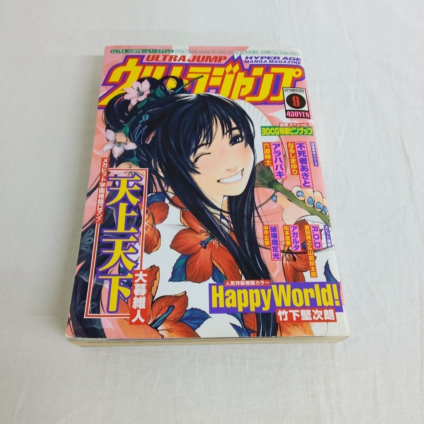 貴重品】ウルトラジャンプ 2000年 Vol.9.Vol.10 2冊セット 天上天下