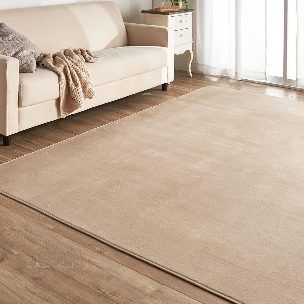 【特価商品】カーペット ラグ 洗える ラグカーペット マット 200×300cm 滑り止め付き ホットカーペット対応 3畳 アイリスプラザ 防ダニ フランネル さらフワ触感 おしゃれ 北欧 じゅうたん