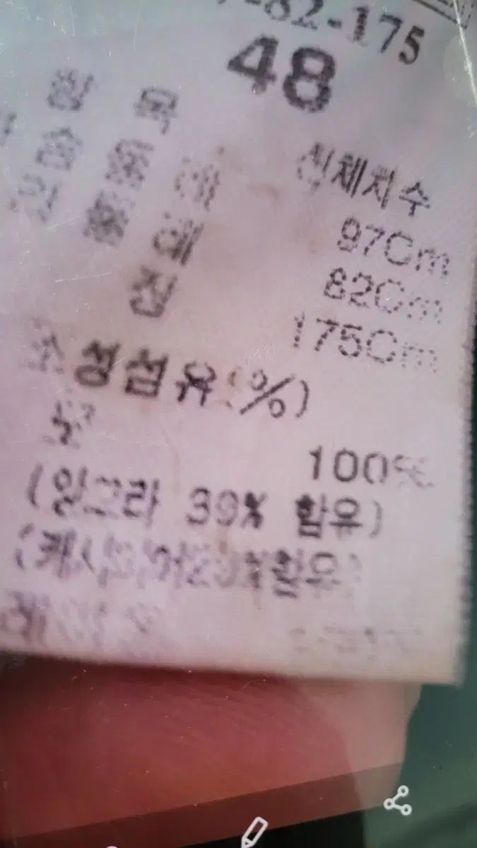 アンゴラ カシミア