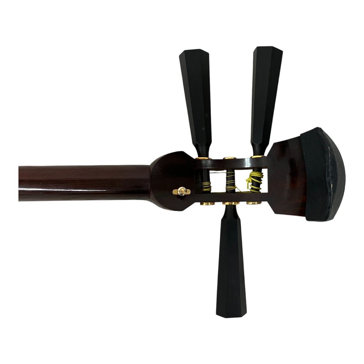 ハードケース付き 弦楽器