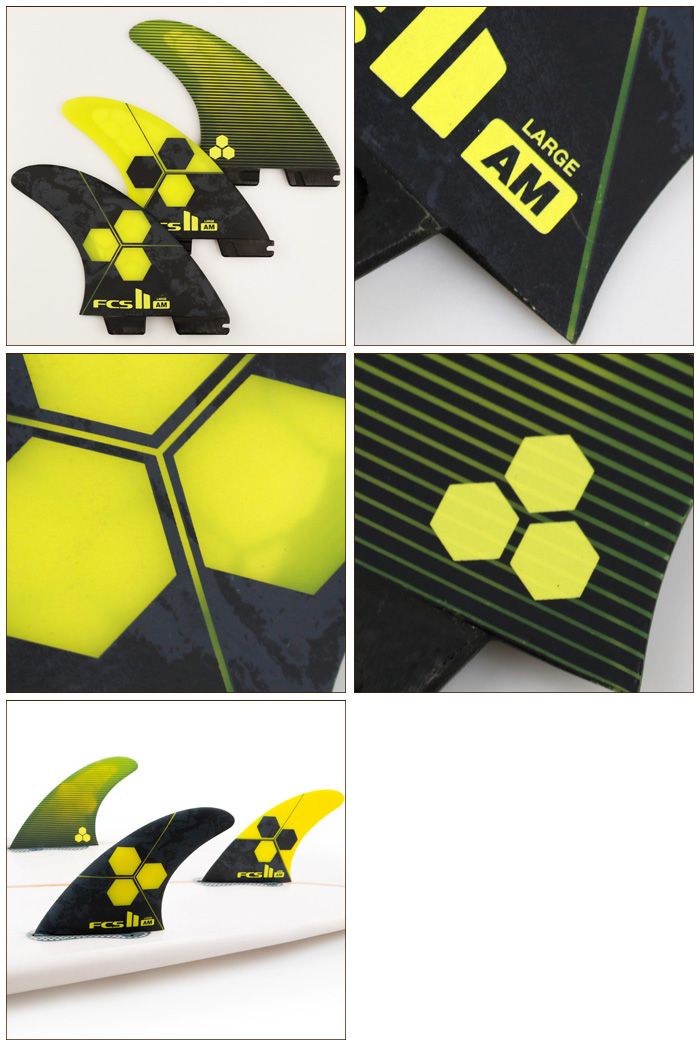 FCS2 FIN フィン トライフィン アルメリック AM (AL MERRICK) - PC