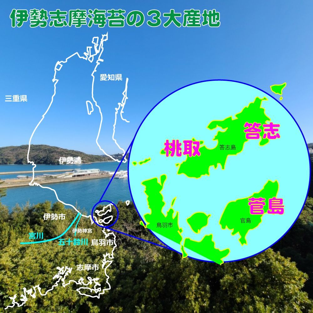 高級 焼き海苔 全形 40枚 【伊勢志摩】 菅島産 「海のかおり」 焼きたて チャック付き 送料無料 海苔 やきのり 焼きのり