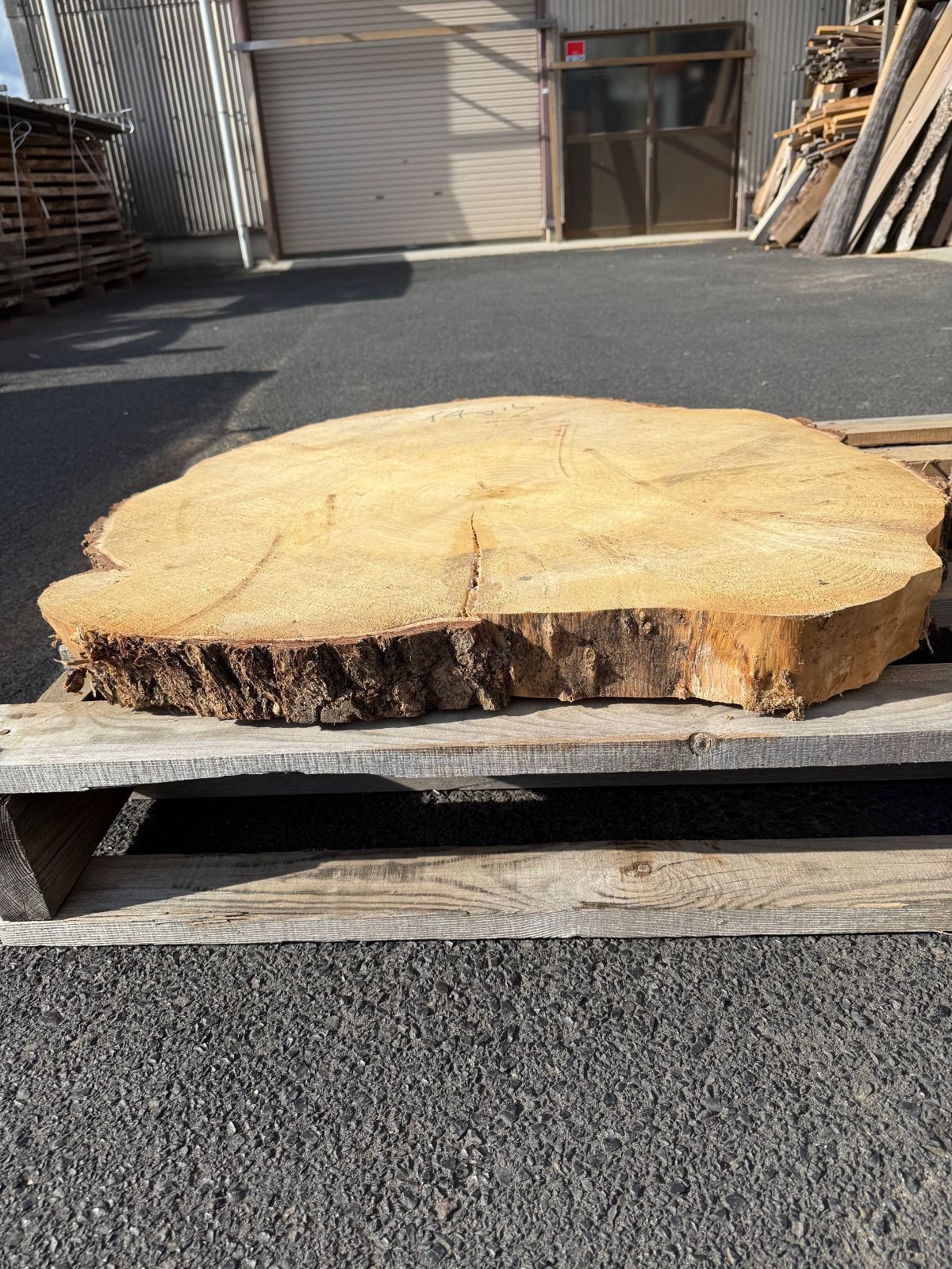 イチョウ 輪切材 銘木 一枚板 DIY ウッドプレート