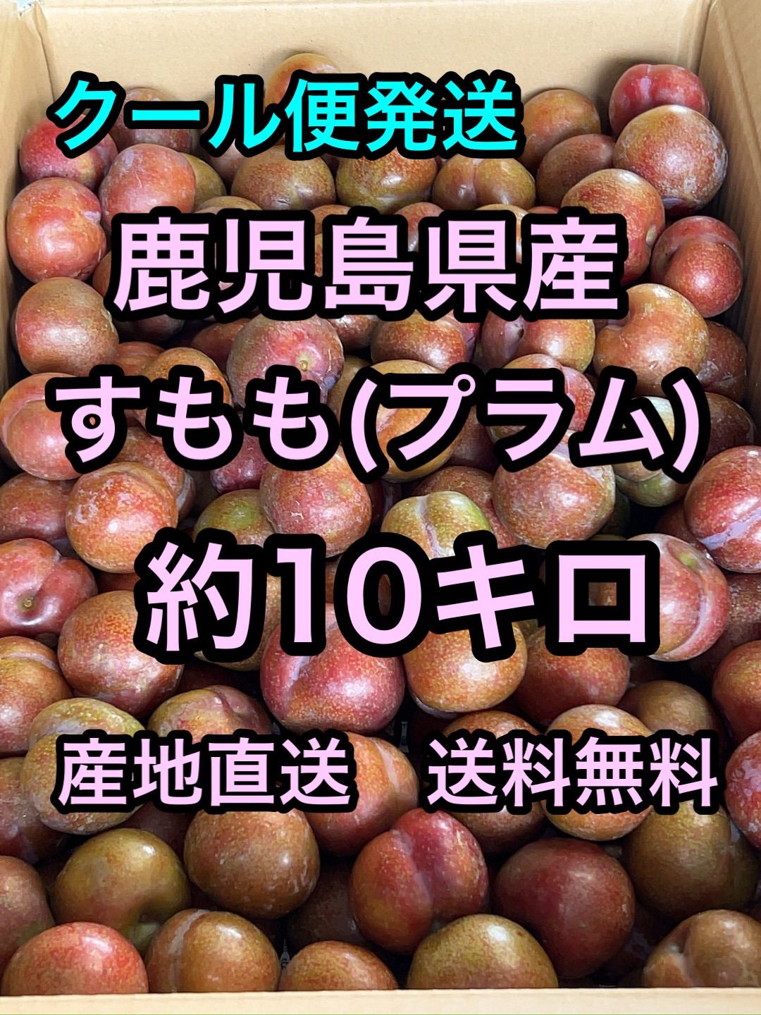 鹿児島県産すもも(プラム)  約10キロクール便発送