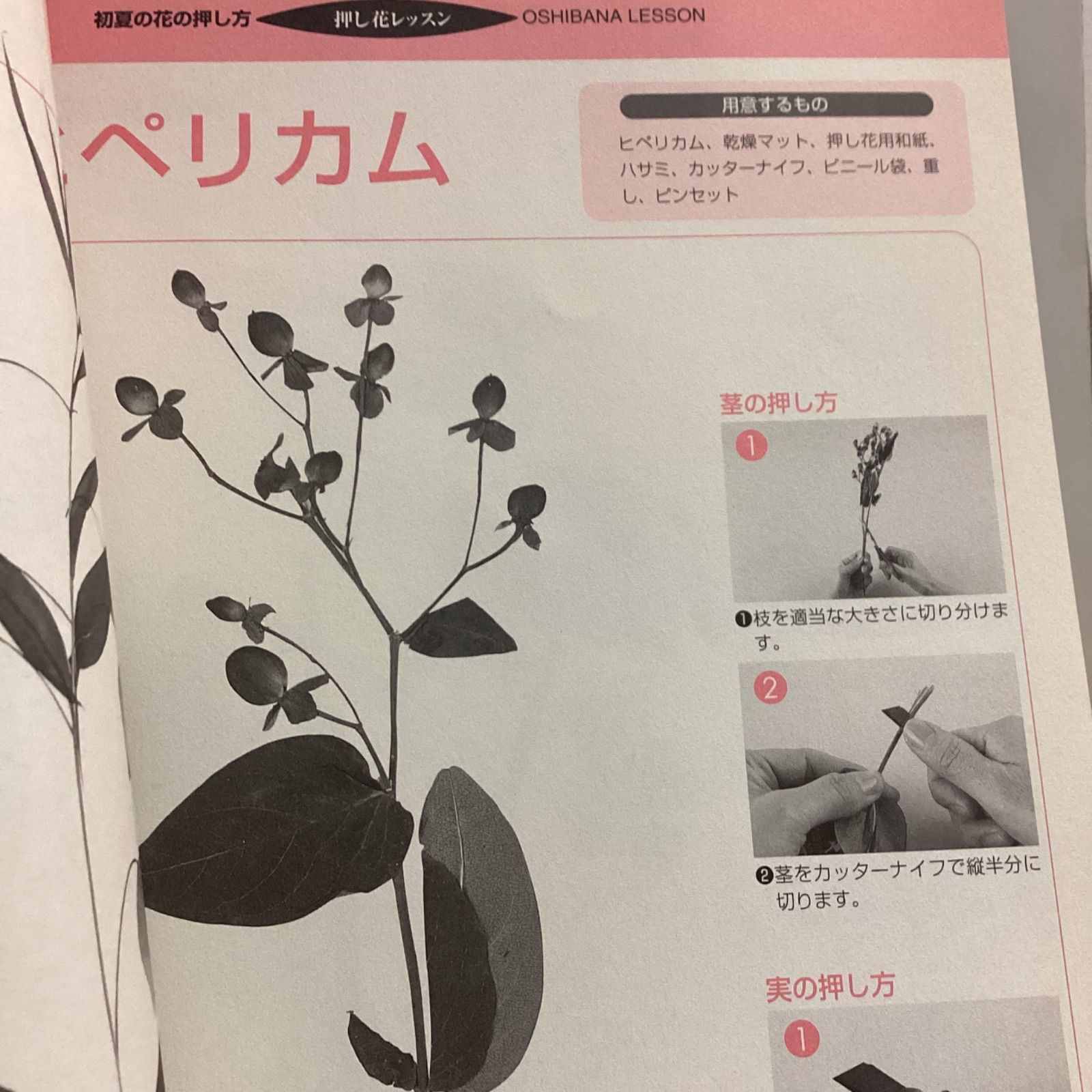 私の花生活 押し花の本 15冊セット 0A10080837.jpg