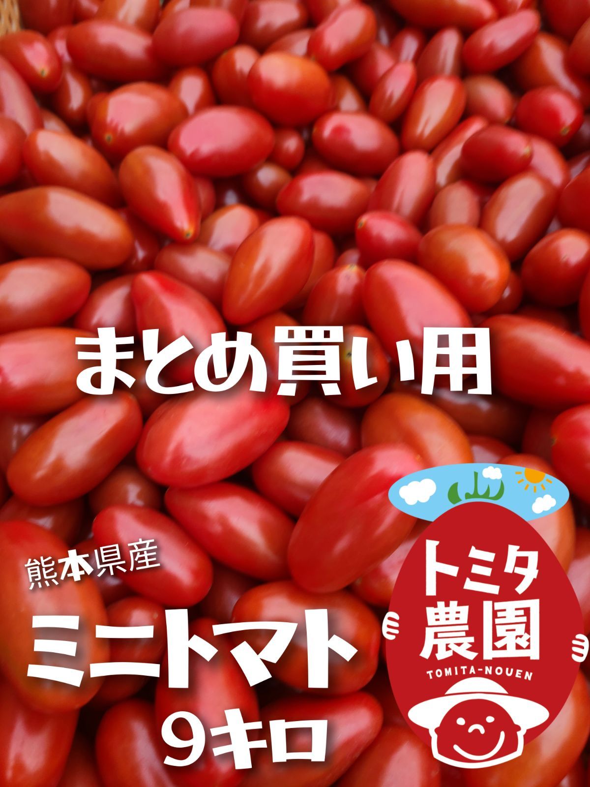熊本県産ミニトマト 茜とまと9キロ