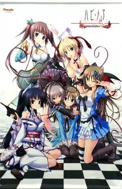 ハピメア　B2タペストリー 3点 中古】タペストリー 集合 B2タペストリー 「ハピメア