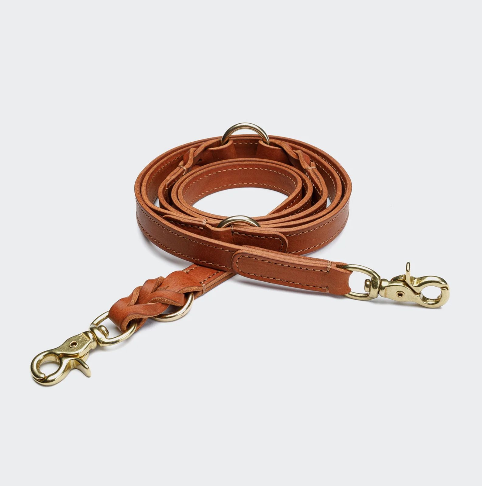 中型犬 海外直輸入