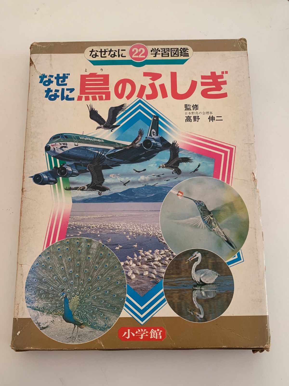 なぜなに鳥のふしぎ なぜなに学習図鑑22 - メルカリ 