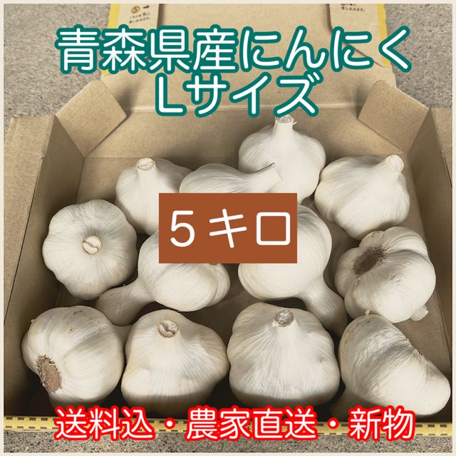 青森県産 にんにく Lサイズ 5キロ 【公式通販】