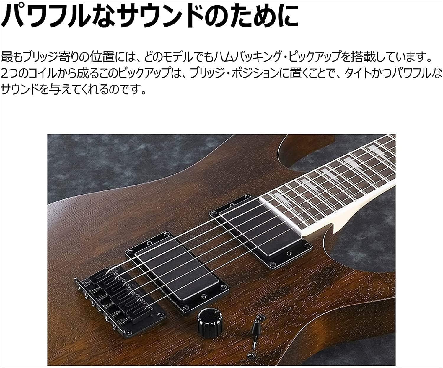 GIO Ibanez 初心者向けエレキギター (ブラック・フラット) GRG121DX