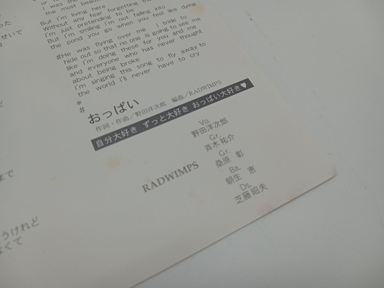 ラッドウィンプス AA