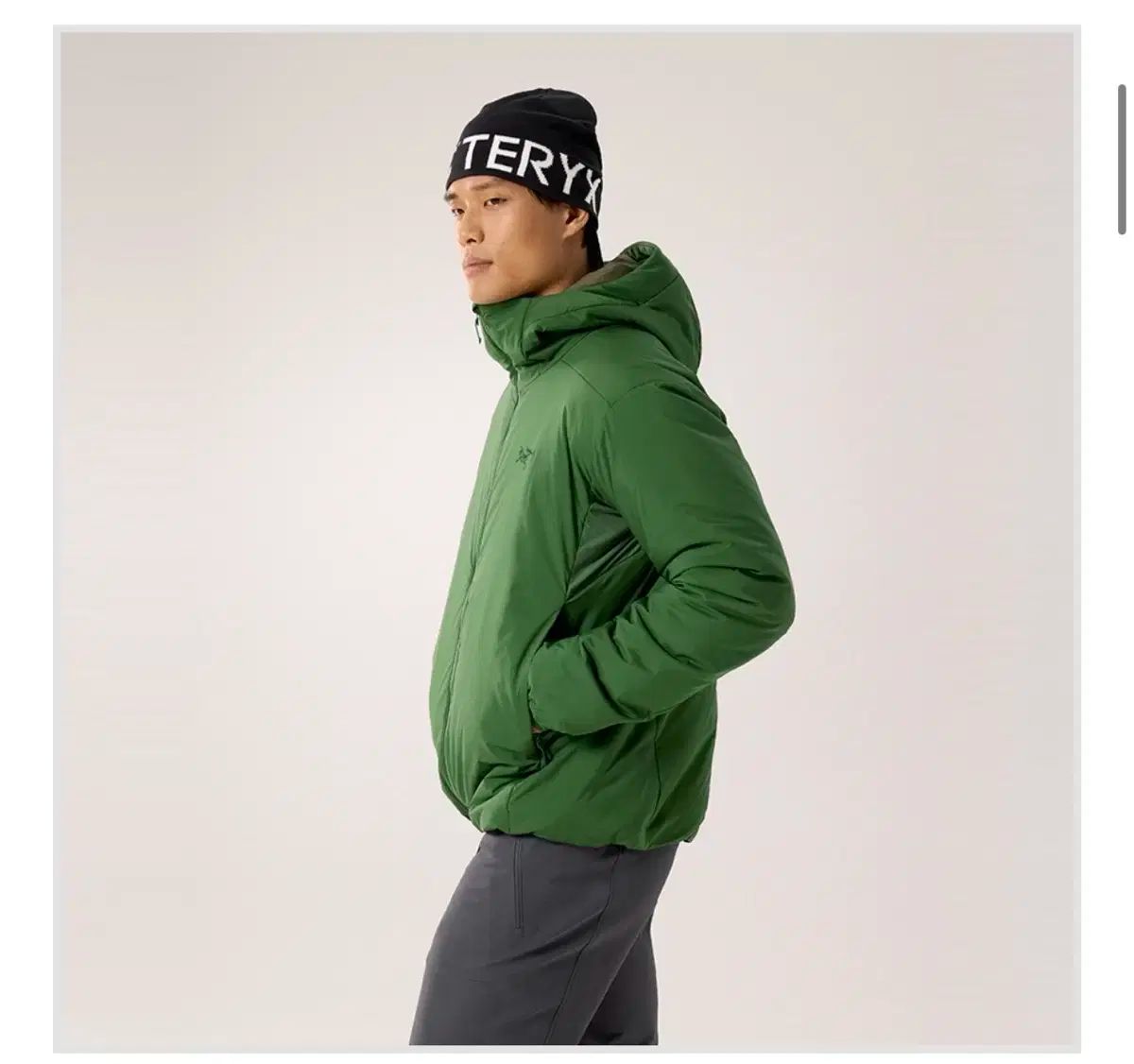 ARC TERYX アークテリクス Atom アトム 重い フーディー パーカー エデン 2 XL 古い AR