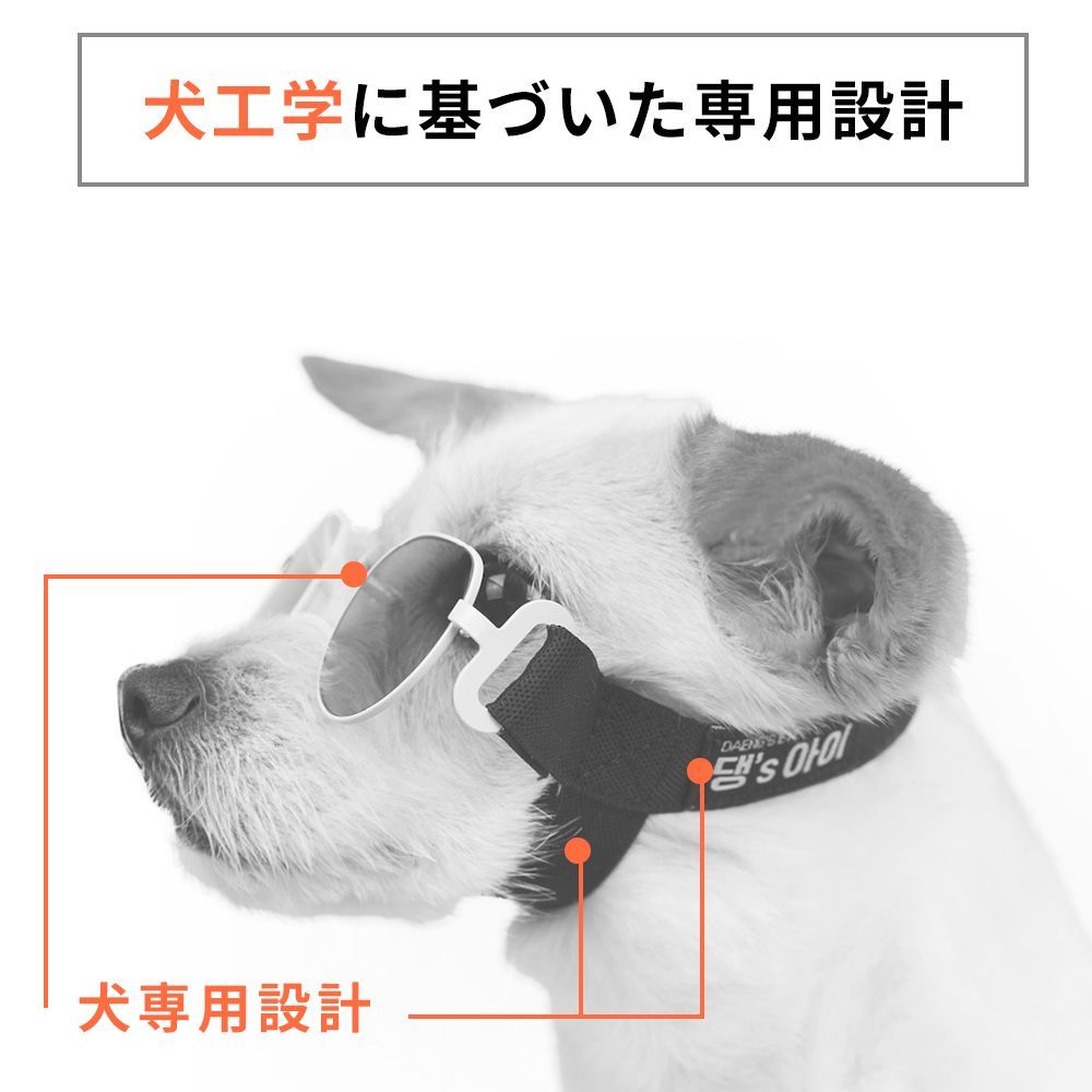UVカットレンズ 犬