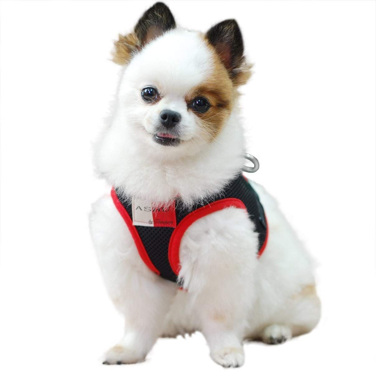 新品 [ASHU] 犬用 ウェアハーネス リード メッシュ ブラック 帝塚山ハウンドカム (ウェアハーネス (S：胴回り32-36cm))