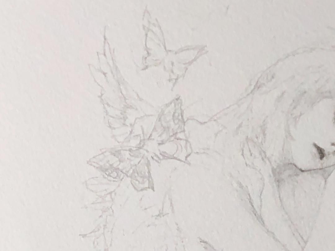 m*o様 木原千春 ドローイング 木原千春 ドローイング 7作品